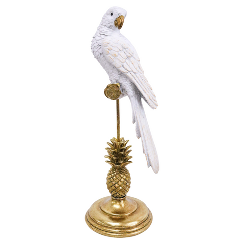 king parrot bahama gold/stand